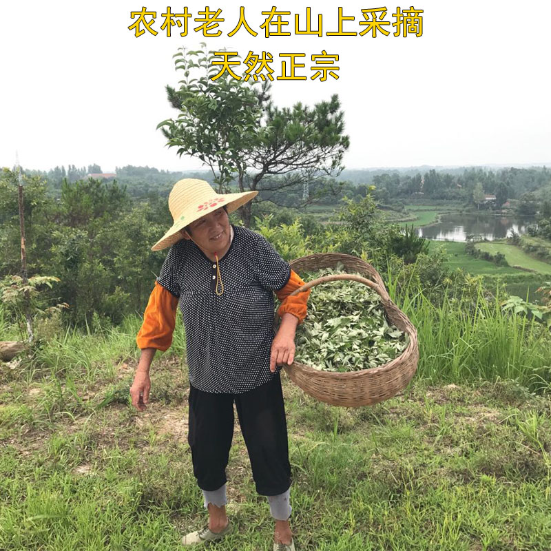 野生艾叶 陈艾草艾叶草 干艾草叶泡脚包泡澡月子产后新鲜艾绒艾条